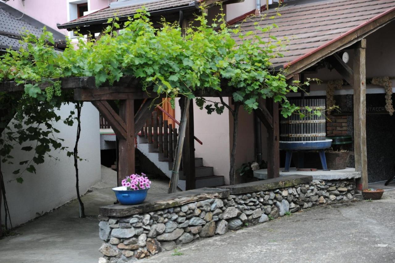 Wellness B&B Winery Sontacchi Kutjevo Εξωτερικό φωτογραφία