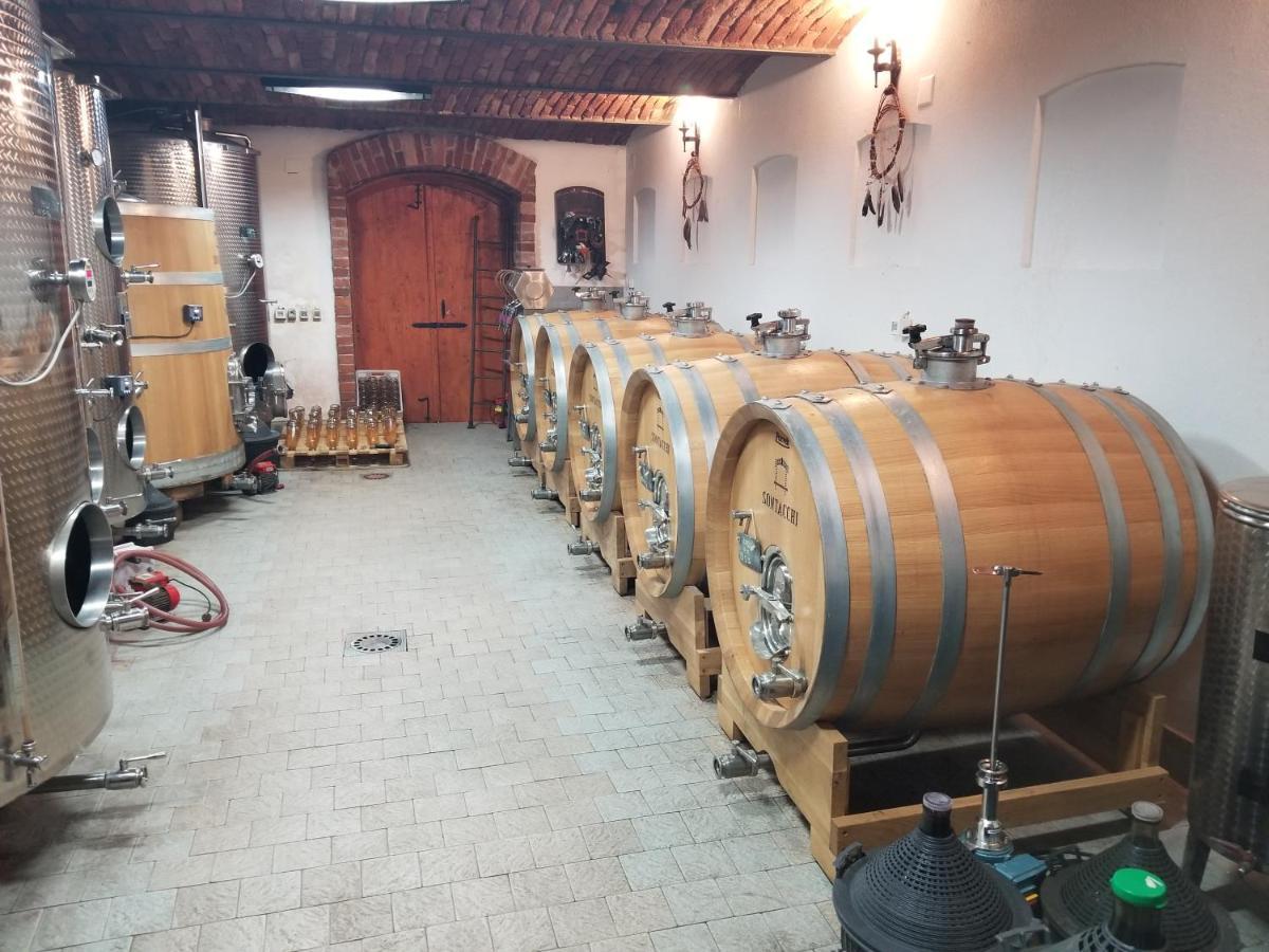 Wellness B&B Winery Sontacchi Kutjevo Εξωτερικό φωτογραφία